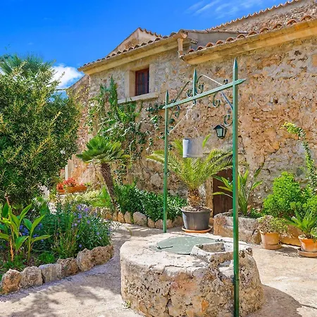 Oliva Pollença